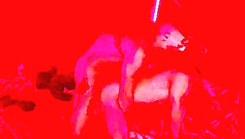 3 Devils And A Cocky Guy Arranged A Gangbang In An Abandoned